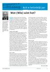 Wat (Wie) wint het?