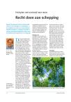 Recht doen aan schepping