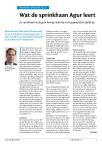 Wat de sprinkhaan Agur leert