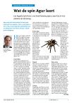 Wat de spin Agur leert