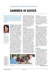 Dammen in Diever