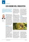 EEN BOOM VOL VRUCHTEN
