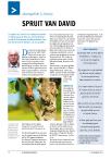 SPRUIT VAN DAVID