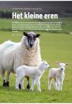 Het kleine eren