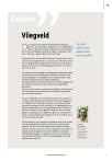 Vliegveld
