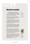 Wond en wonder